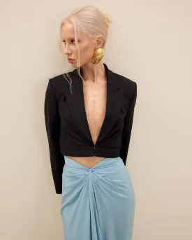 Papilio Blazer