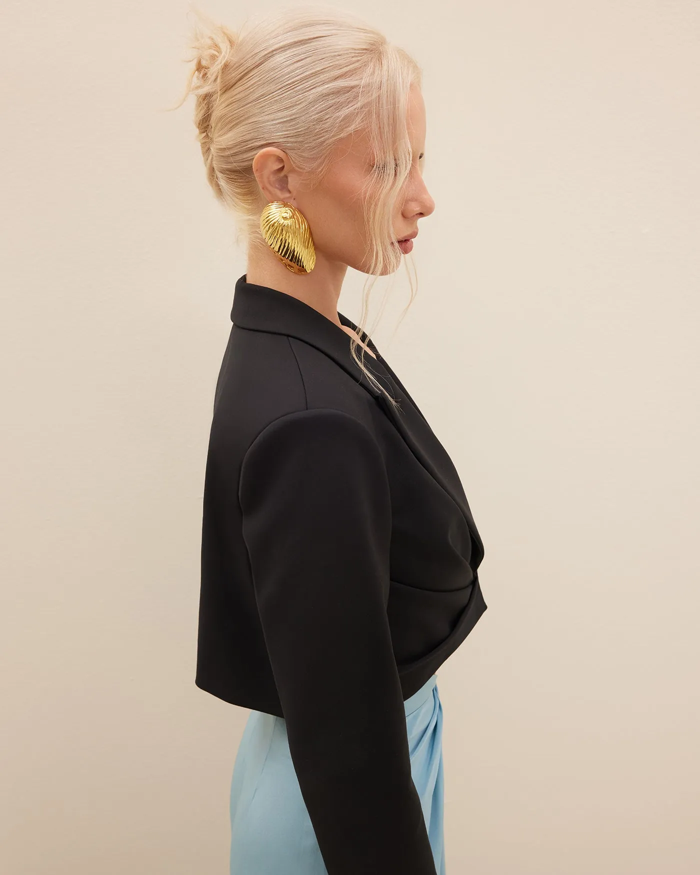 Papilio Blazer