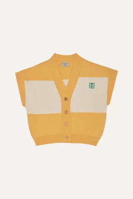 vest striped button down - yellow